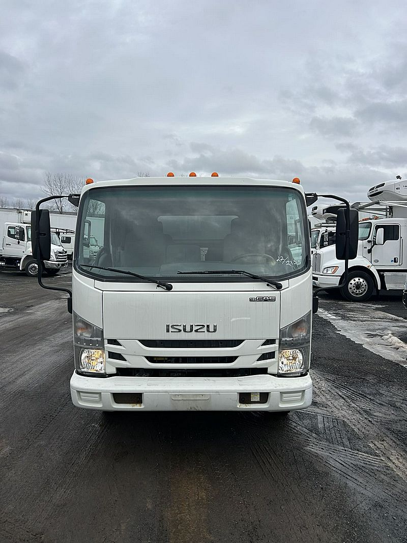 2022 Isuzu NQR DC For Sale | Dump Truck | #T-NS502155